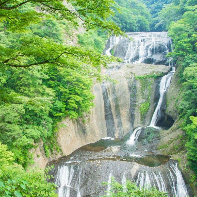 【包车一日游】茨城袋田瀑布 ...